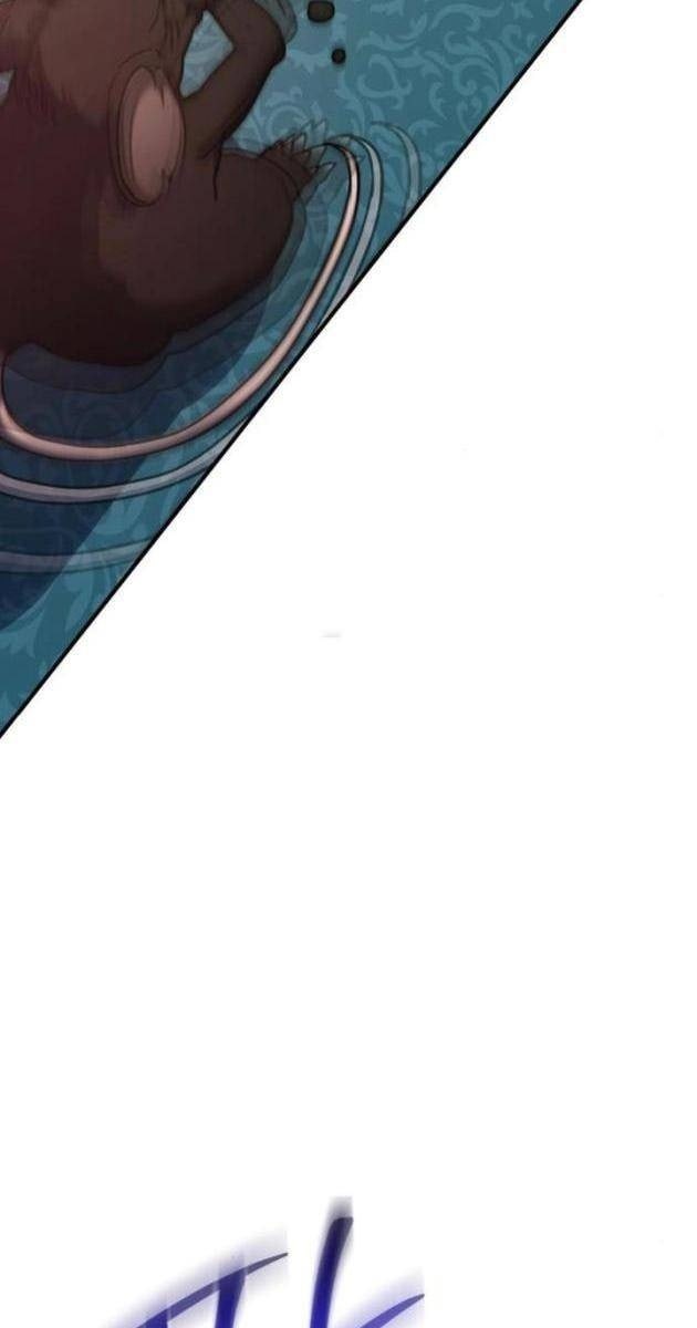 Nhập Vai Phản Diện Mắt Cáo Hoàn Hảo - Page 43