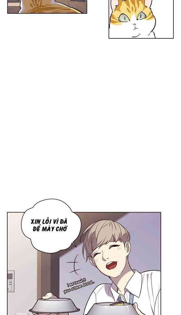 Mèo Mập Béo Bự - Page 61