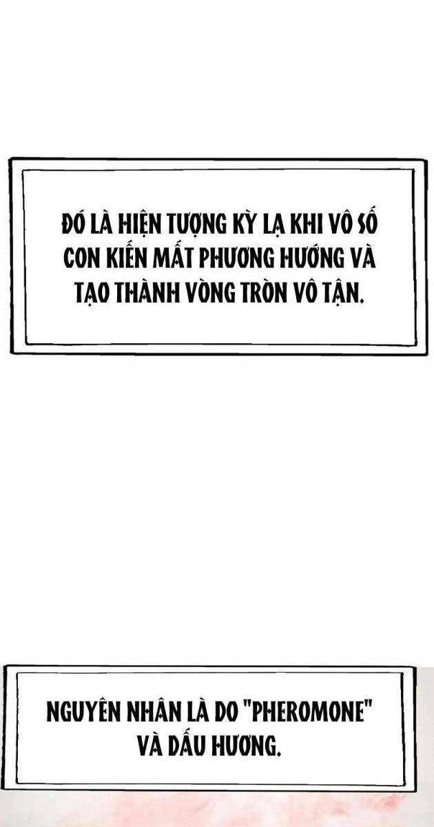 Tôi Chỉ Là Người Khuân Vác Trong Hầm Ngục - Page 43