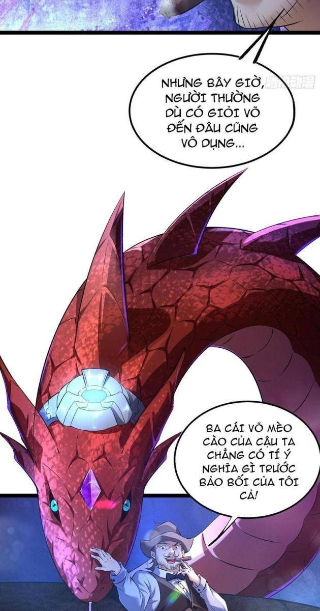 Tinh Thú Sư Mạnh Nhất - Page 23