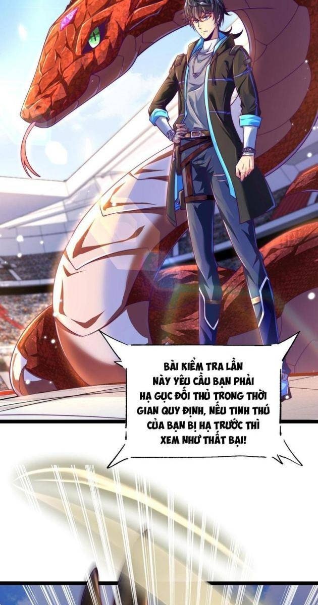 Tinh Thú Sư Mạnh Nhất - Page 33