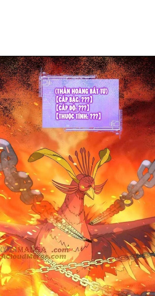 Bắt Đầu Chuyển Chức Tài Thần, Ta Chuyển Hóa Triệu Vạn Thần Sủng - Page 70