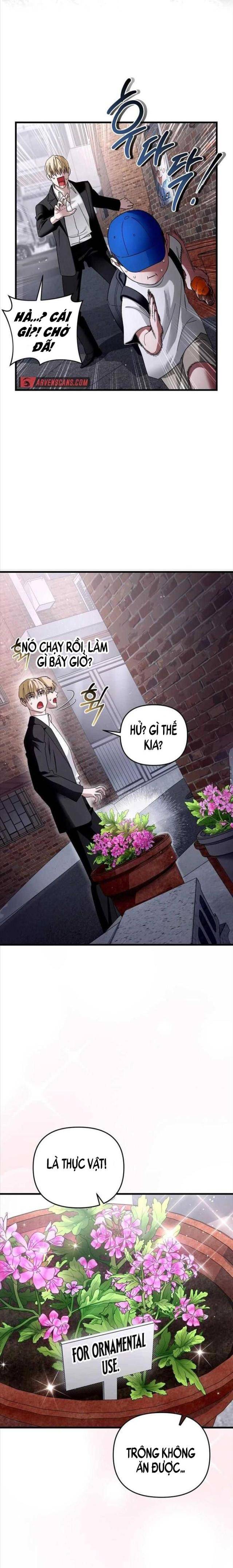 Huyễn Tượng Thợ Săn Tại Dị Giới - Page 16