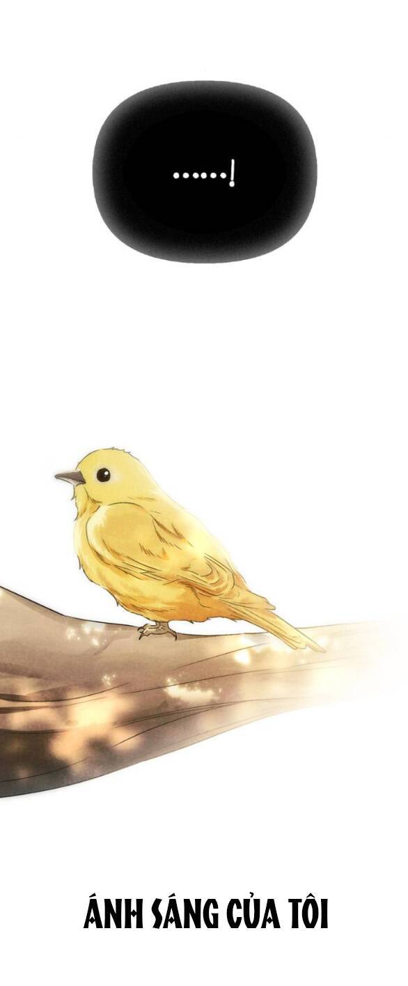 Tôi Thuần Hóa Chó Điên Của Chồng Cũ - Page 20