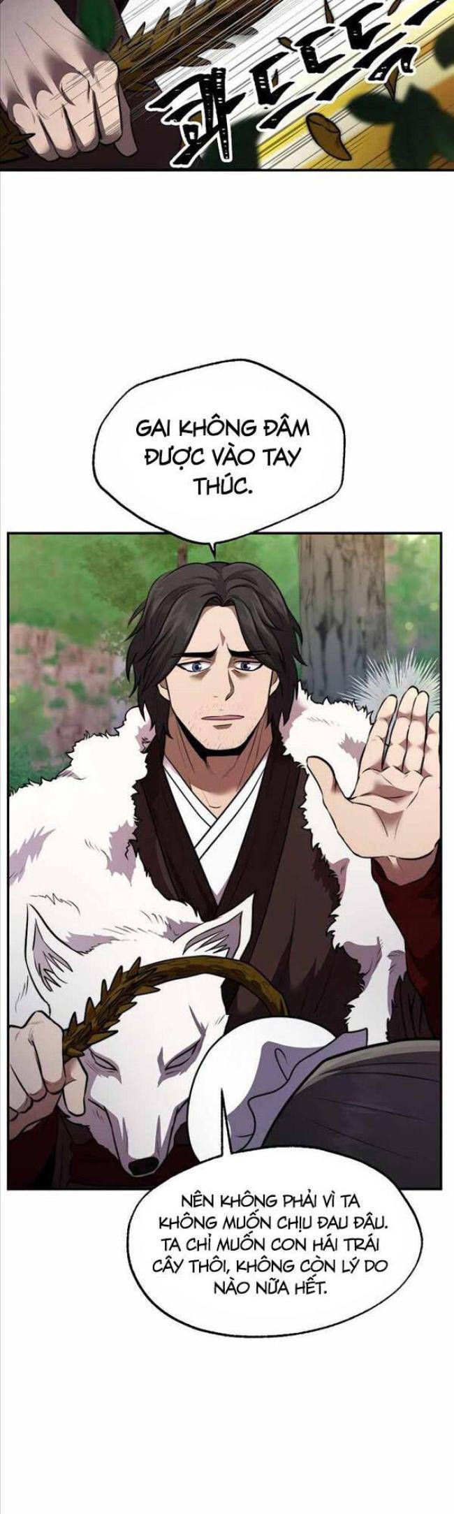 Võ Sĩ Hồi Hương - Page 28