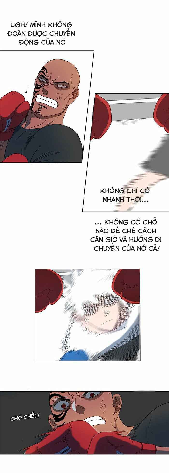 Võ Sĩ Quyền Anh - Page 49