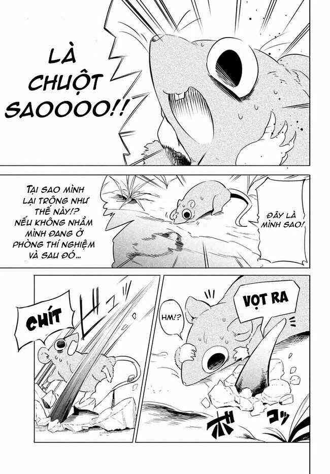 Chuyển Sinh Thành Virus Và Quá Trình Lây Nhiễm Ở Thế Giới Khác - Page 11