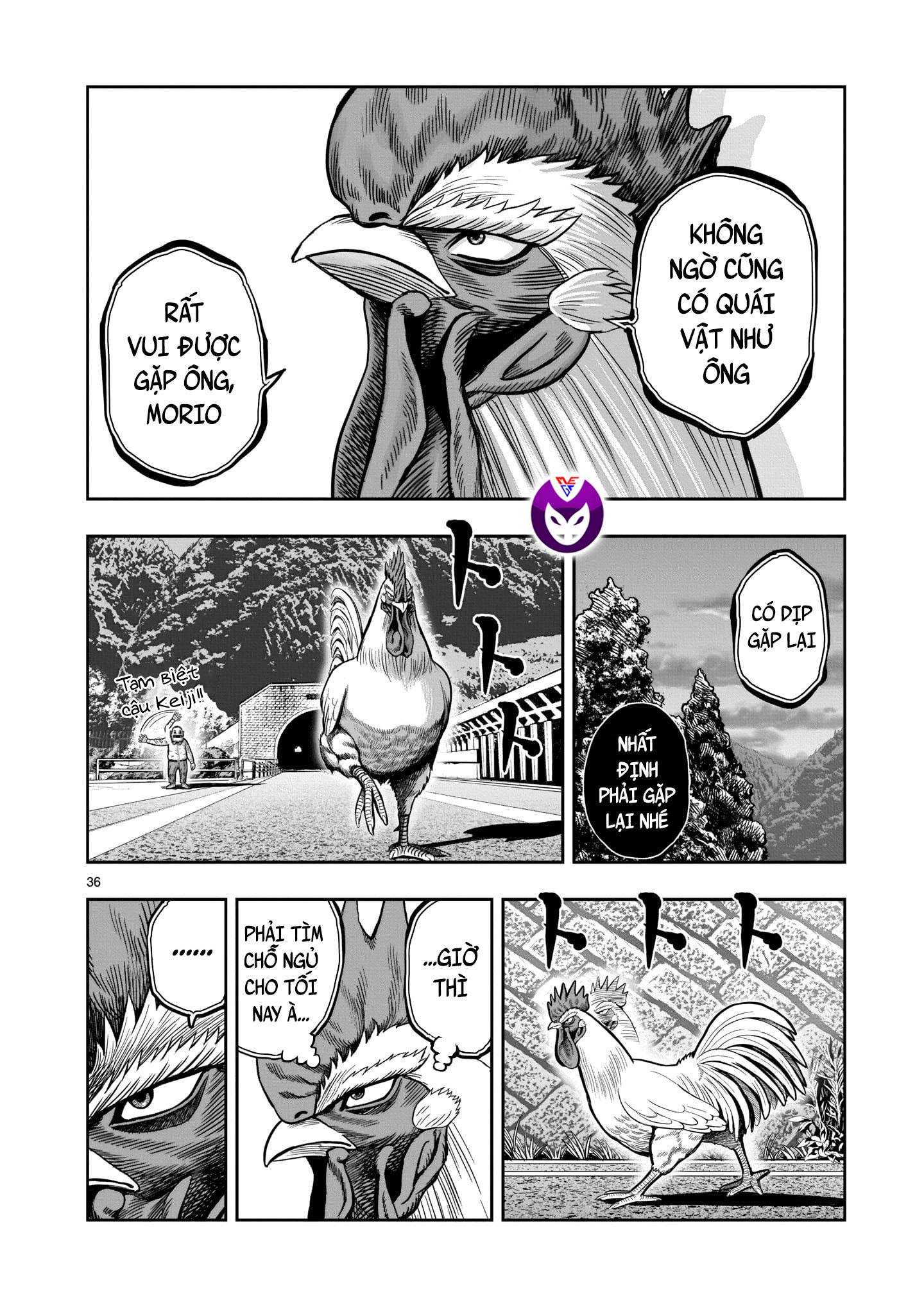 Chiến Binh Gà Trống - Page 38