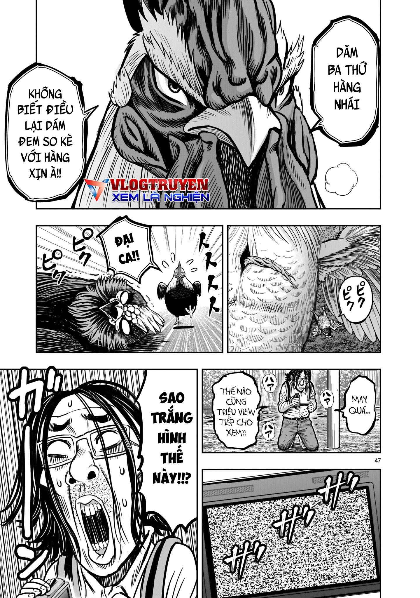 Chiến Binh Gà Trống - Page 48