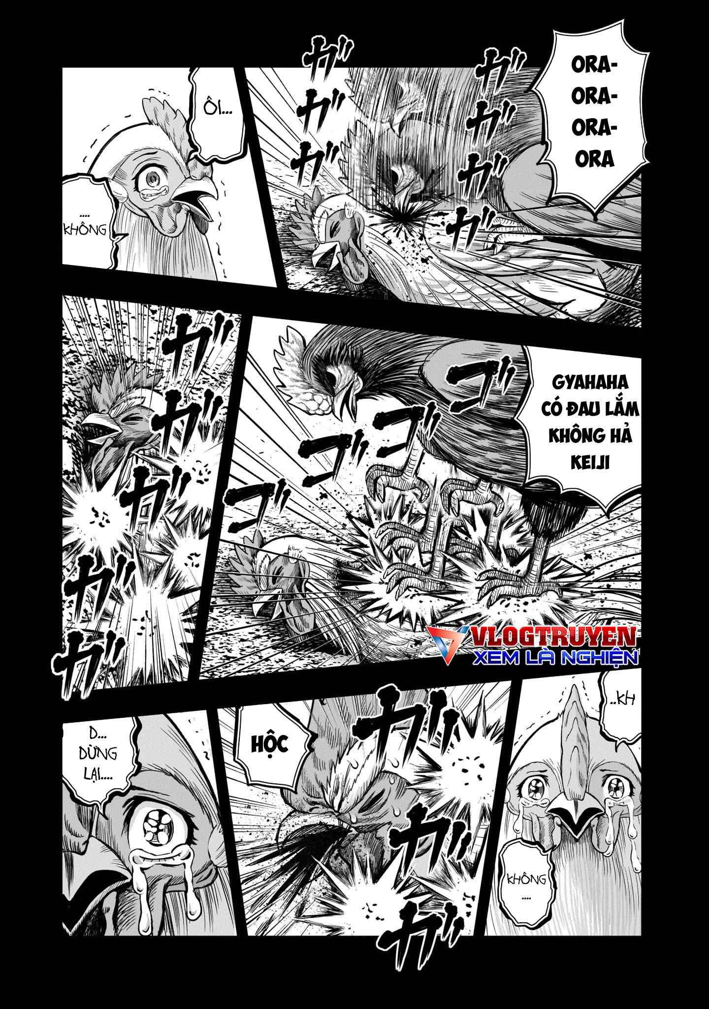 Chiến Binh Gà Trống - Page 24