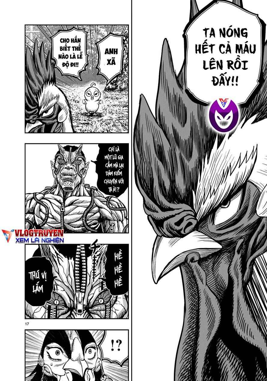 Chiến Binh Gà Trống - Page 16