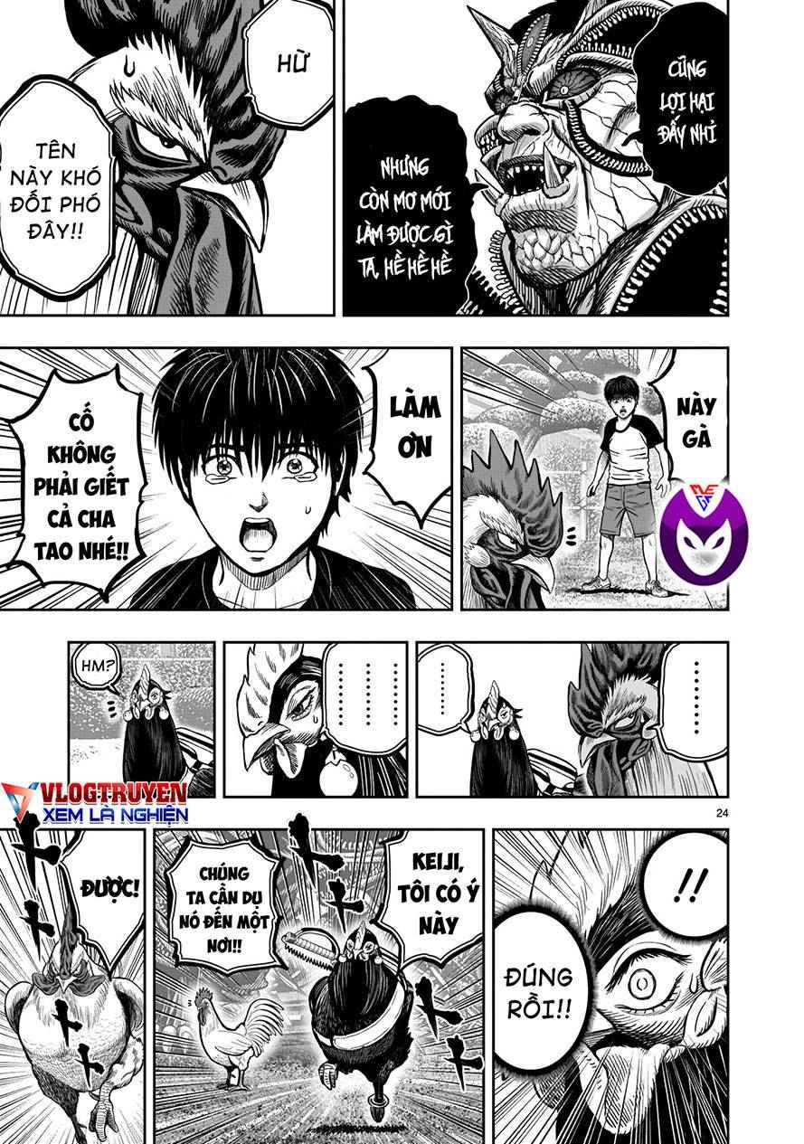 Chiến Binh Gà Trống - Page 23