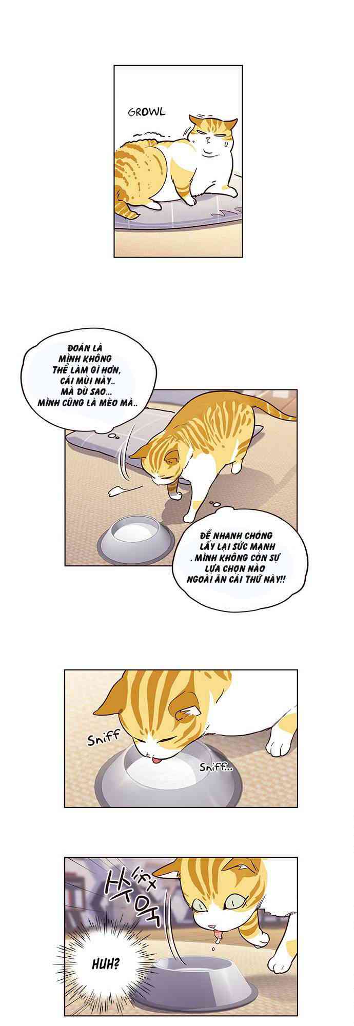 Hoá Thân Thành Mèo - Page 35