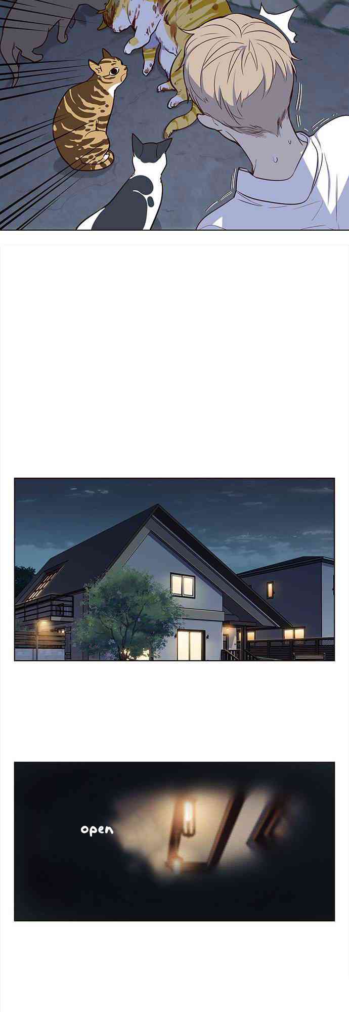 Hoá Thân Thành Mèo - Page 24