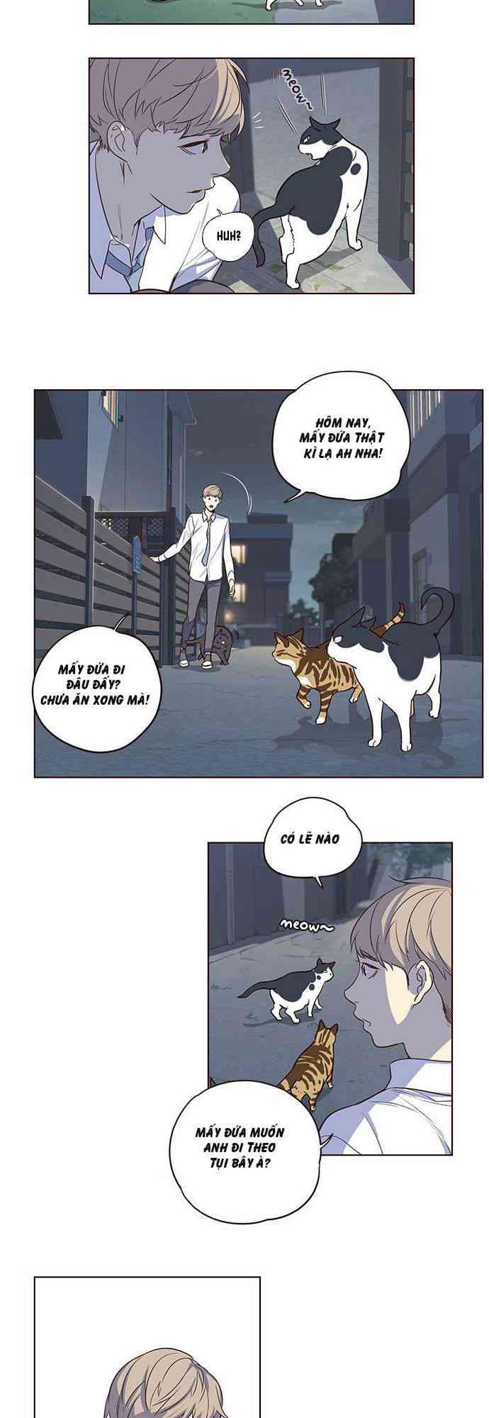 Hoá Thân Thành Mèo - Page 22