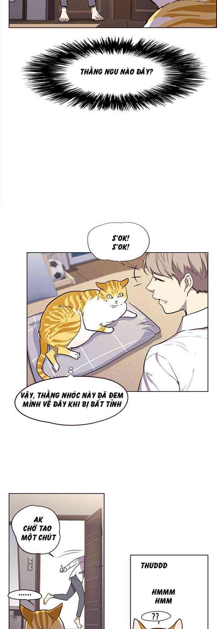 Hoá Thân Thành Mèo - Page 30