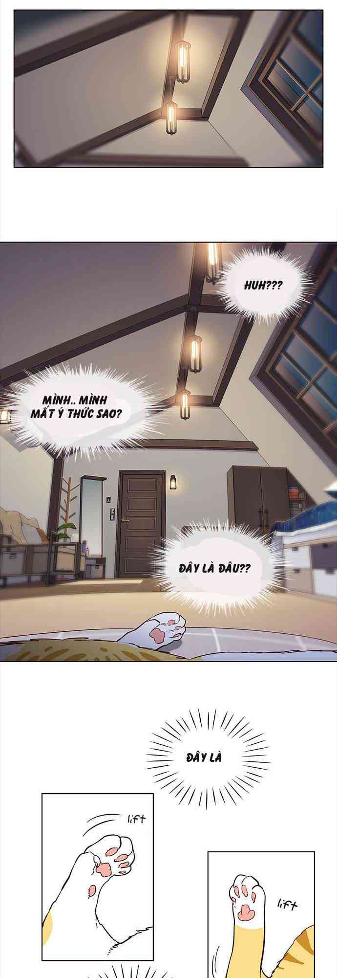 Hoá Thân Thành Mèo - Page 25
