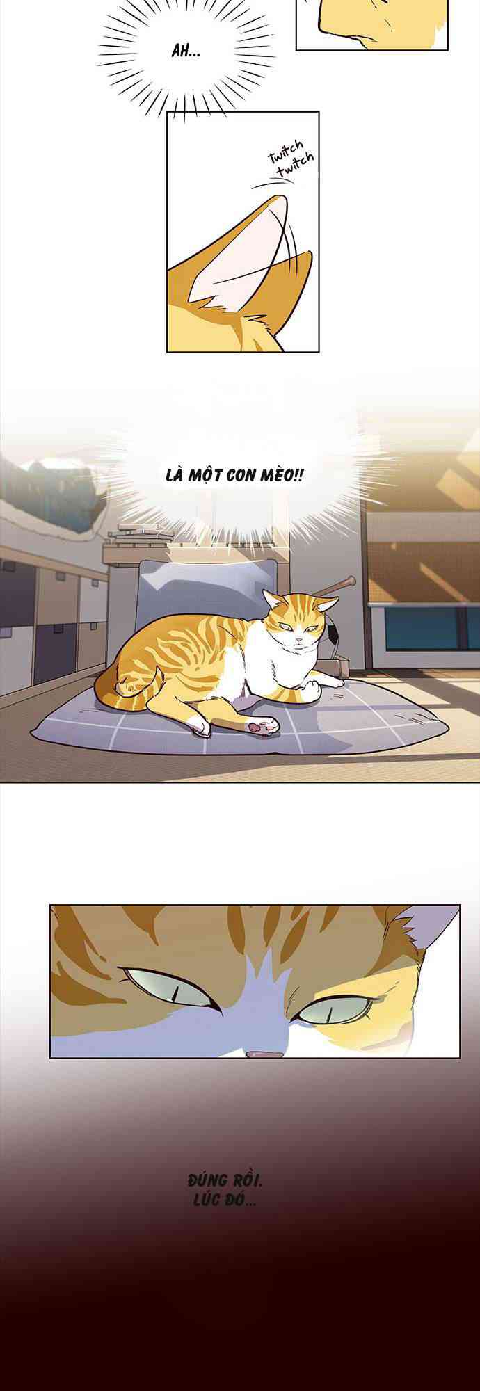 Hoá Thân Thành Mèo - Page 26