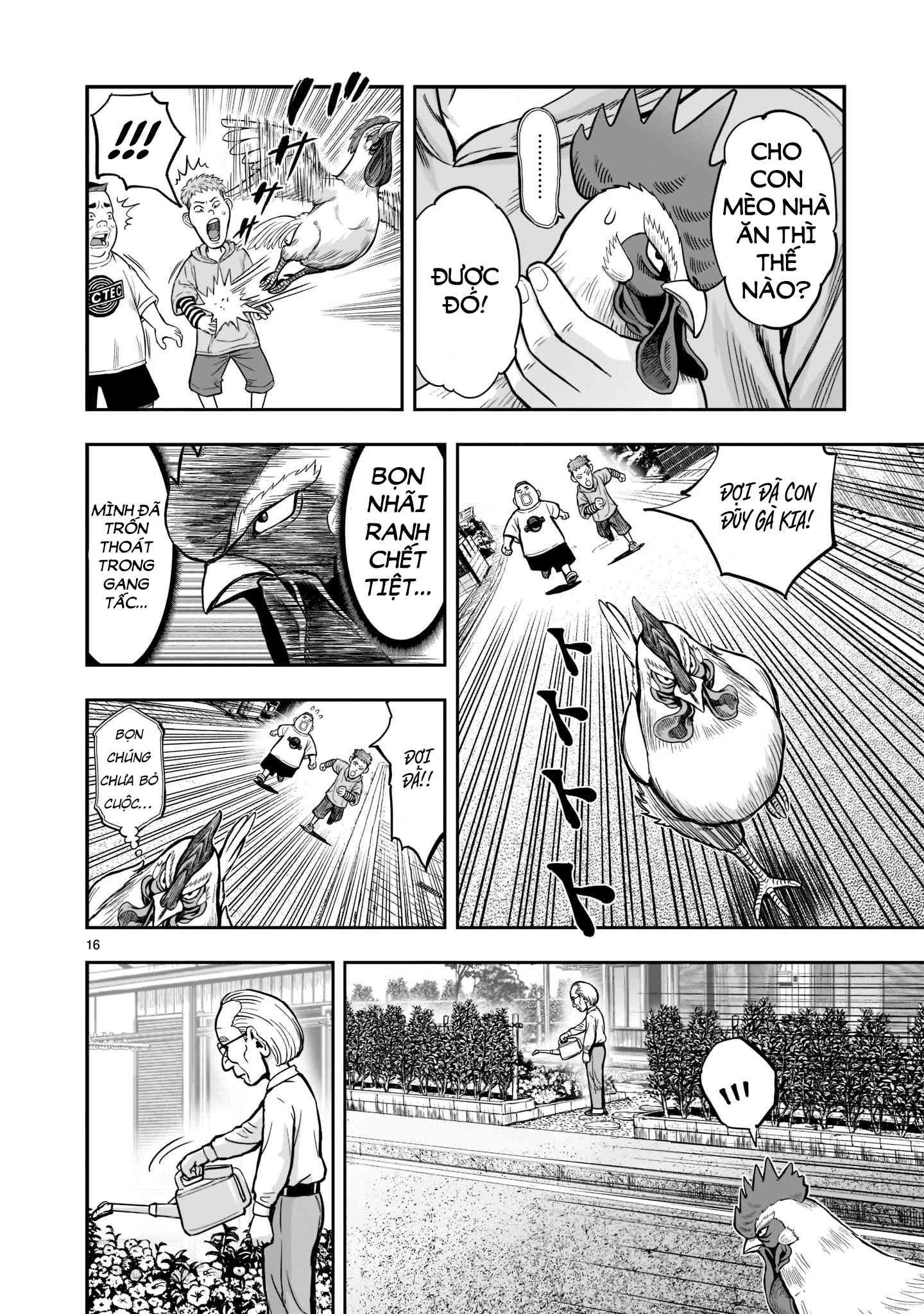 Chiến Binh Gà Trống - Page 15