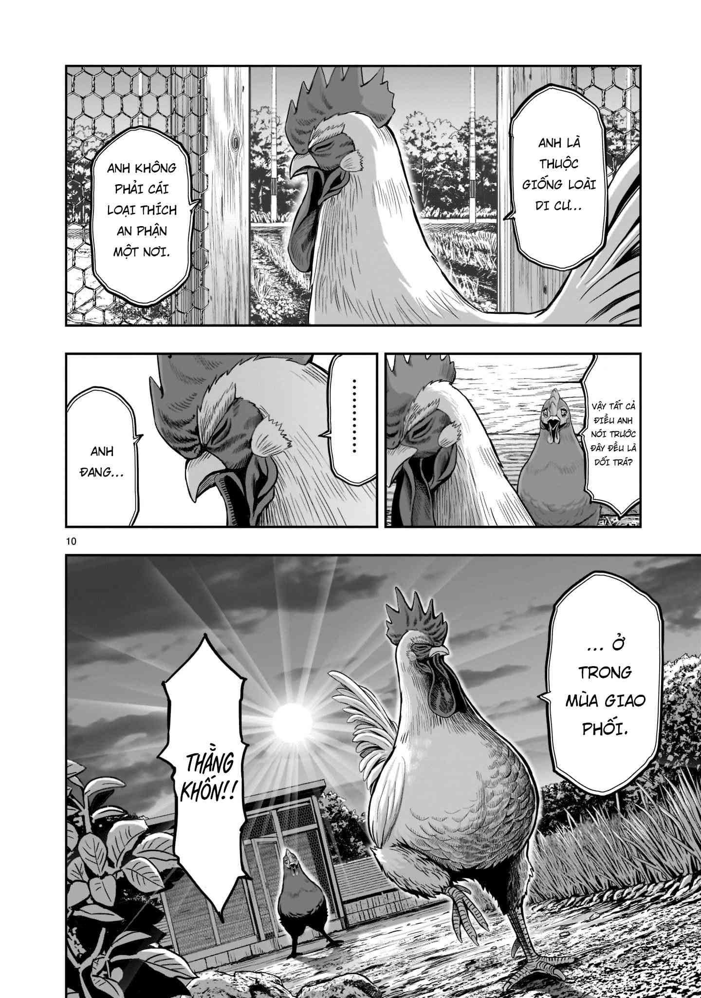 Chiến Binh Gà Trống - Page 9