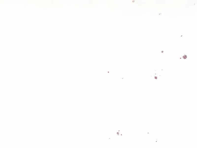 Xuyên Không Trở Thành Hồi Quy Giả - Page 215