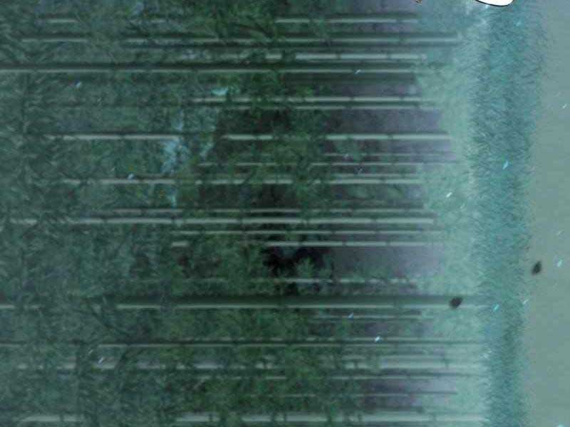 Đệ Tử Của Võ Lâm Minh Chủ - Page 93