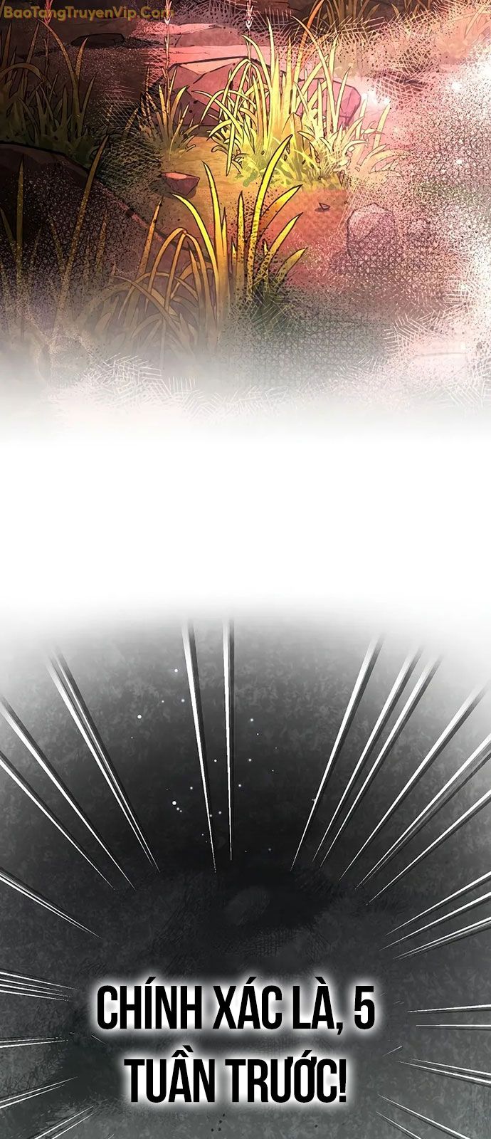 Nhân Vật Ngoài Lề Tiểu Thuyết - Page 8