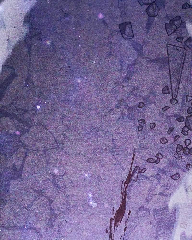 Những Ranker Cấp S Mà Tôi Nuôi Dưỡng - Page 83