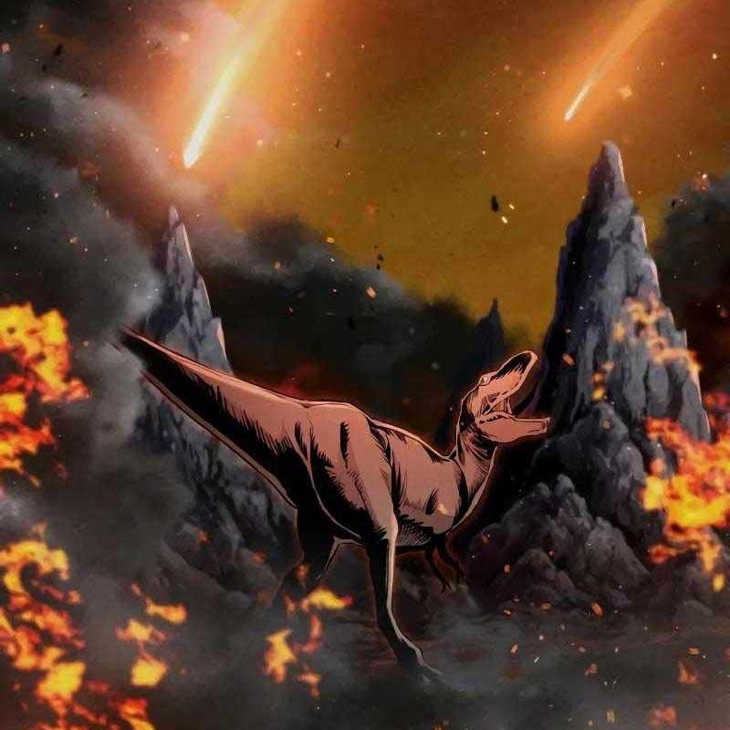 Tôi Nên Làm Gì - Page 67