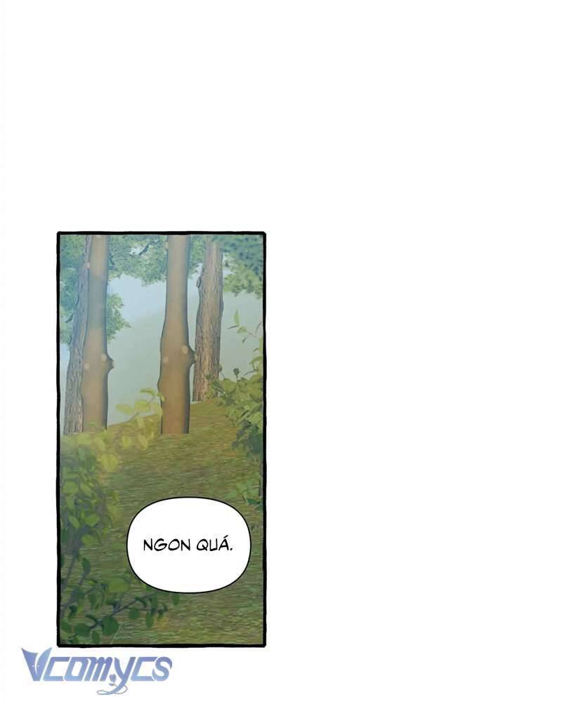 Chuyện Tình Hoa Lưu Ly - Page 62