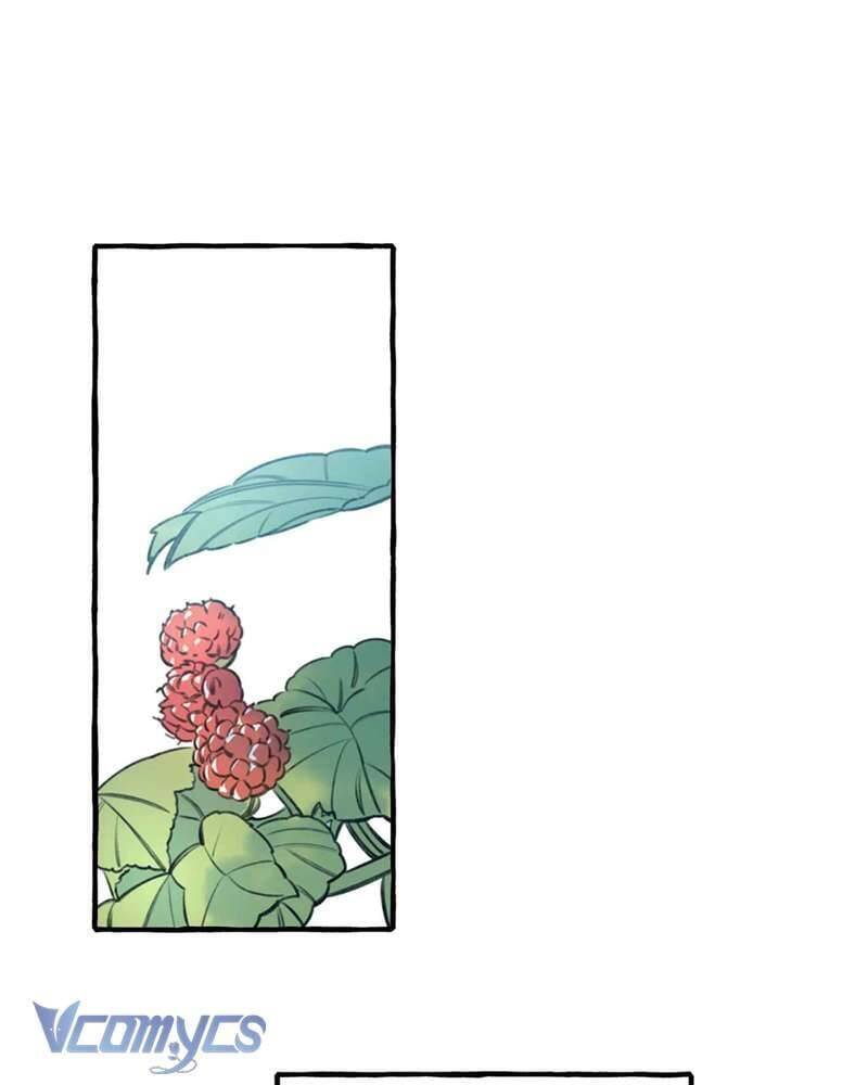 Chuyện Tình Hoa Lưu Ly - Page 47