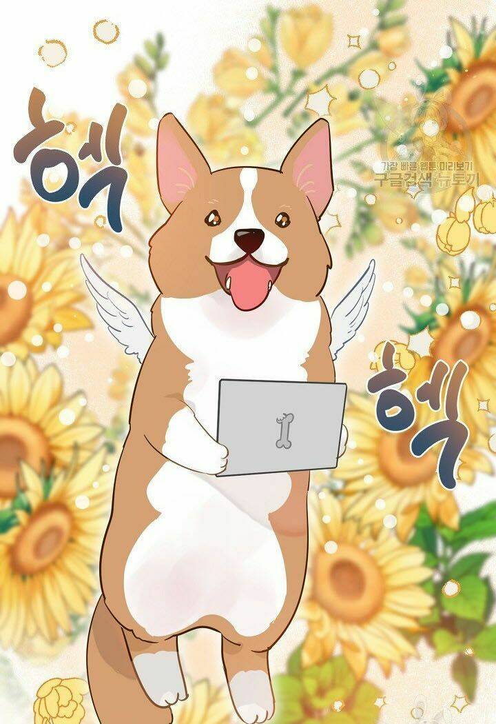 Sự Điều Trị Đặc Biệt Của Tinh Linh - Page 25