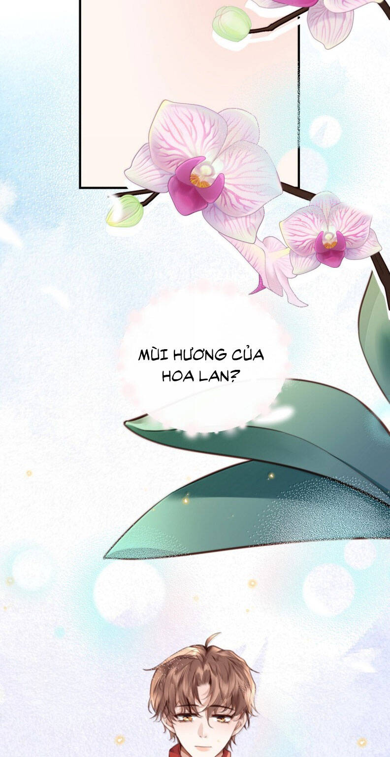 Tổng Tài Định Chế Tư Nhân - Page 25