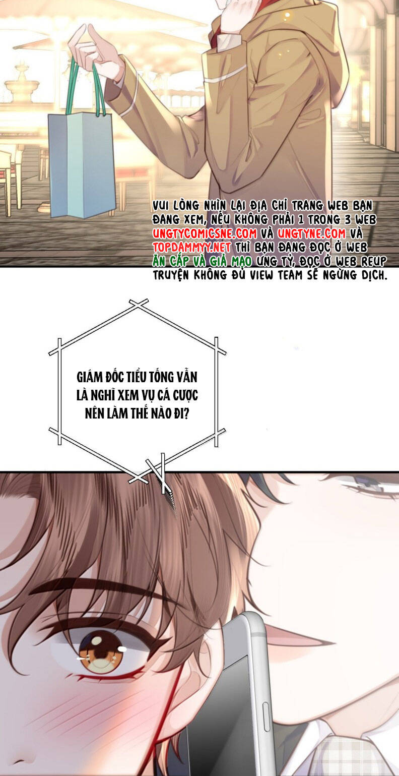 Tổng Tài Định Chế Tư Nhân - Page 11