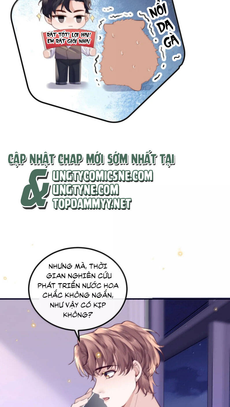 Tổng Tài Định Chế Tư Nhân - Page 27