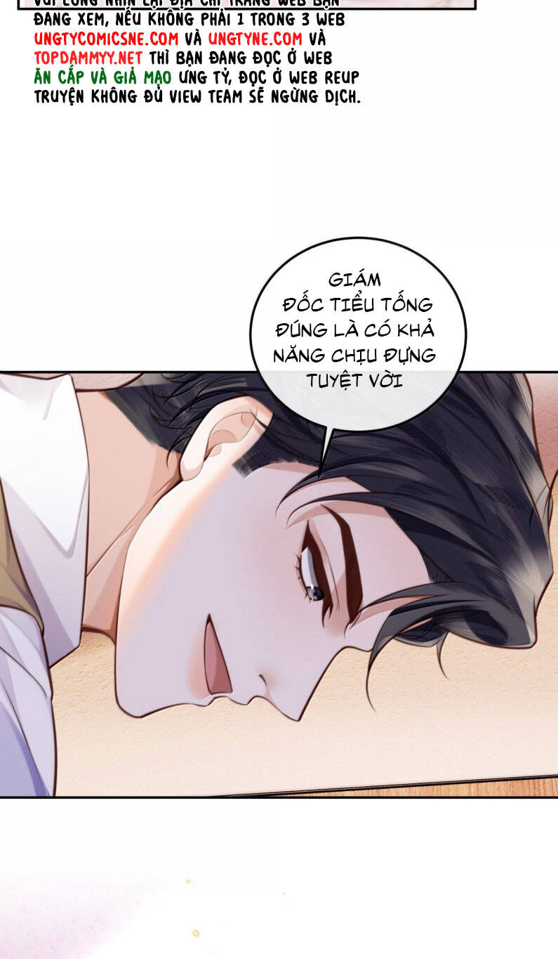 Tổng Tài Định Chế Tư Nhân - Page 23