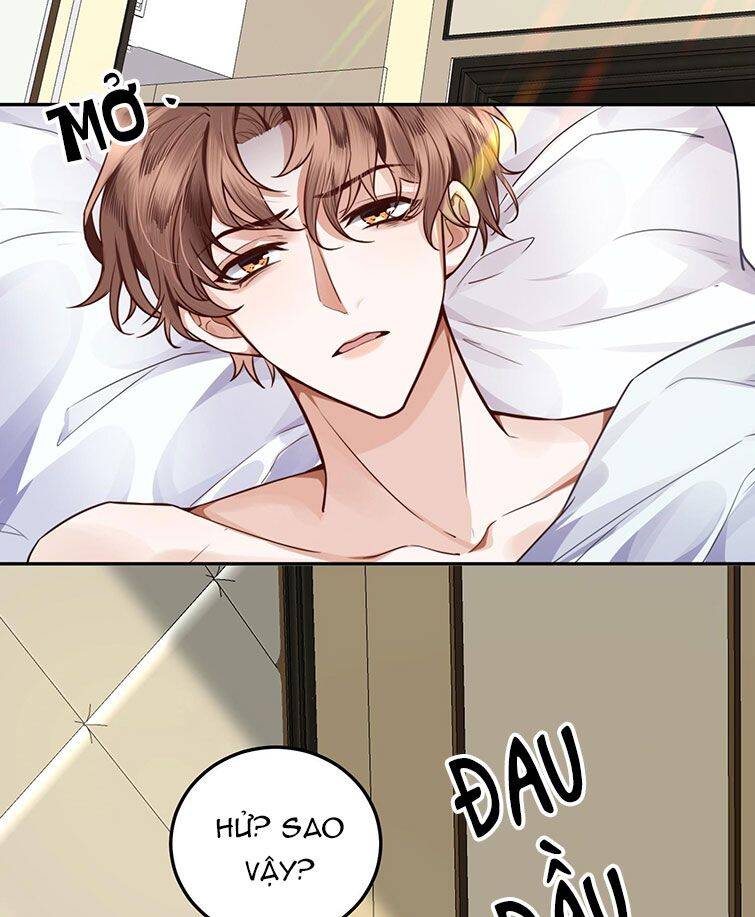 Tổng Tài Định Chế Tư Nhân - Page 5