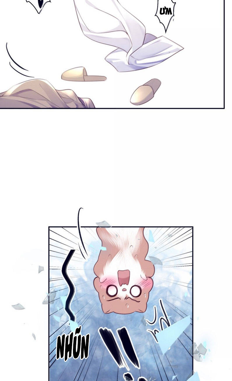 Tổng Tài Định Chế Tư Nhân - Page 21