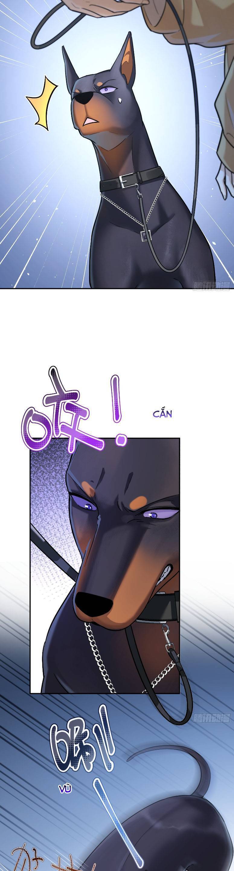 Tên Đàn Ông Này Thật Sự Là Một Tên Cẩu Mà - Page 15