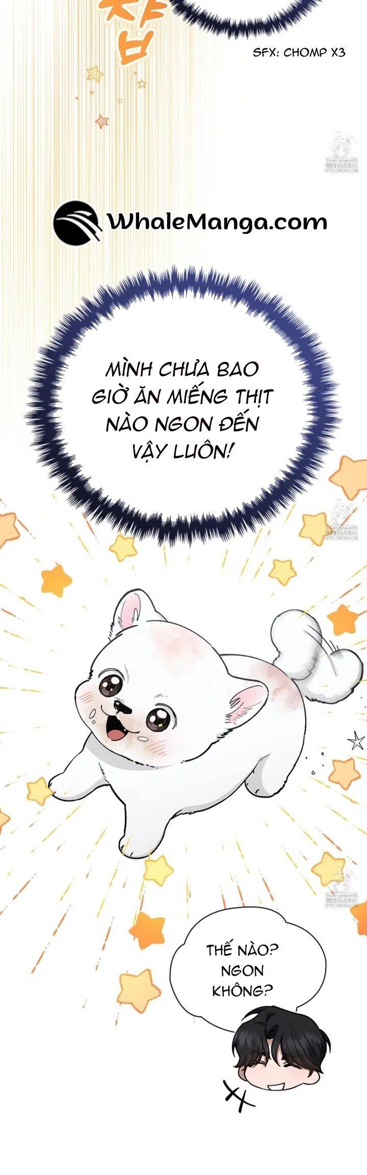 Đừng Đùa Với Cún Con - Page 27