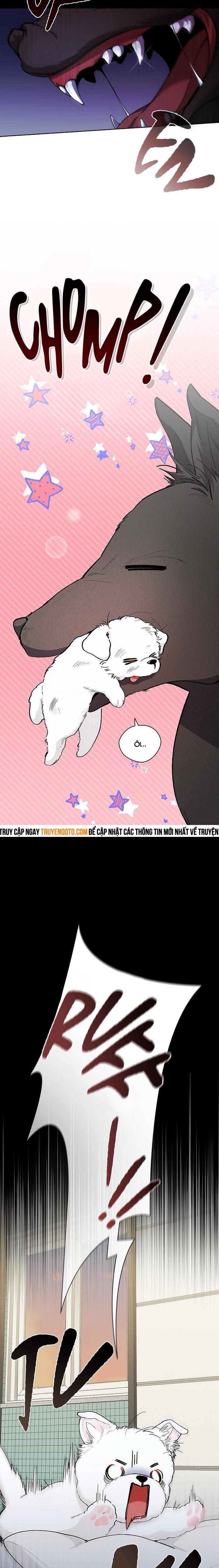 Đừng Đùa Với Cún Con - Page 5