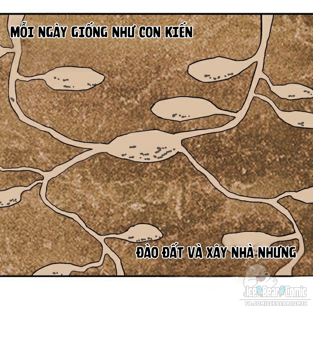 Đánh Bại Golem Và Thoát Khỏi Số Phận - Page 13