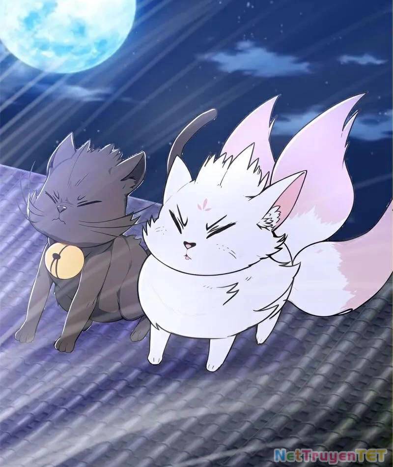 Ta thực sự không muốn làm thần tiên - Page 36