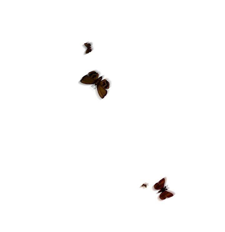 Kẻ Săn Đêm - Page 32