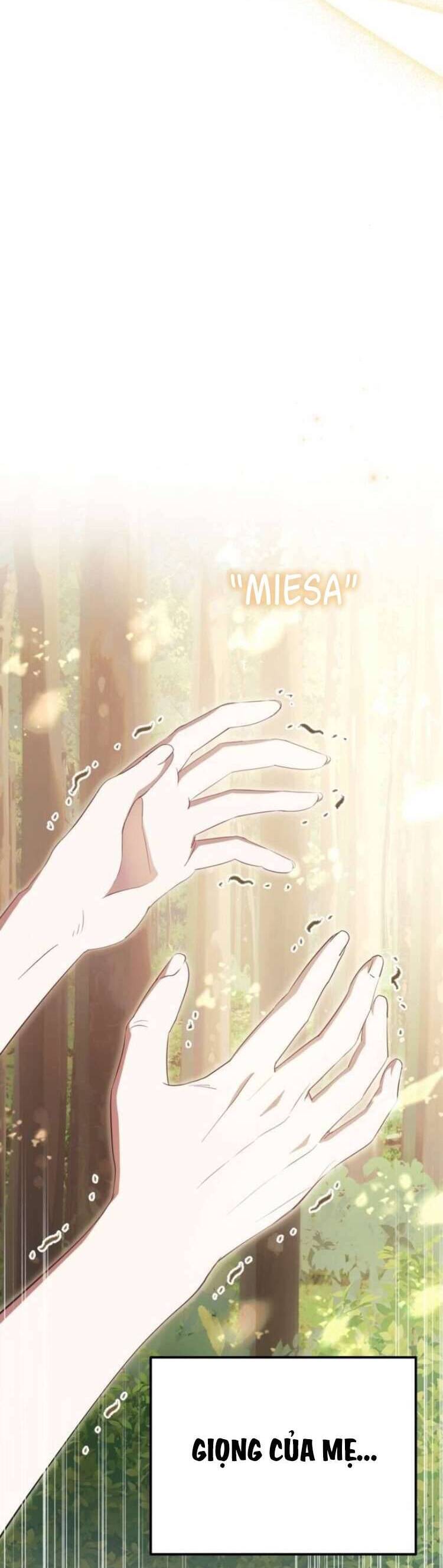 Đằng Sau Nụ Cười Của Nàng Công Chúa - Page 19