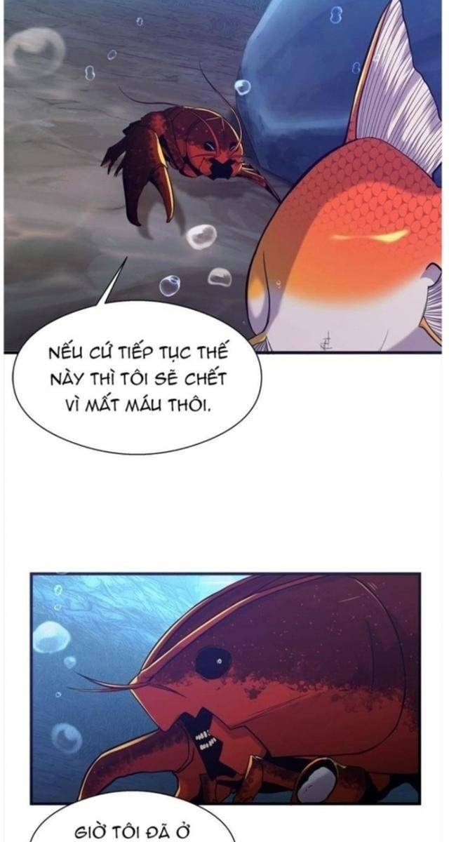 Hoá Thân Thành Cá - Page 116