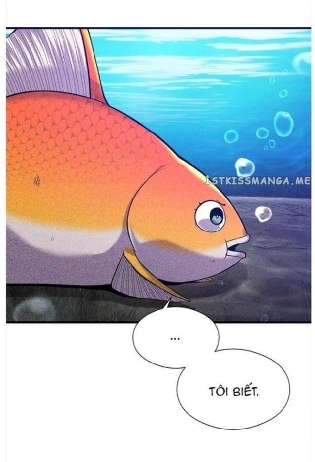 Hoá Thân Thành Cá - Page 55