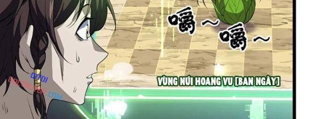 Xuyên Không Đến Thế Giới Tu Chân, Ta Vậy Mà Kích Hoạt Được Hệ Thống Plants vs Zombie - Page 16