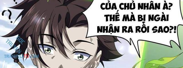Xuyên Không Đến Thế Giới Tu Chân, Ta Vậy Mà Kích Hoạt Được Hệ Thống Plants vs Zombie - Page 28