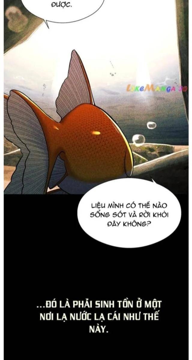 Hoá Thân Thành Cá - Page 34